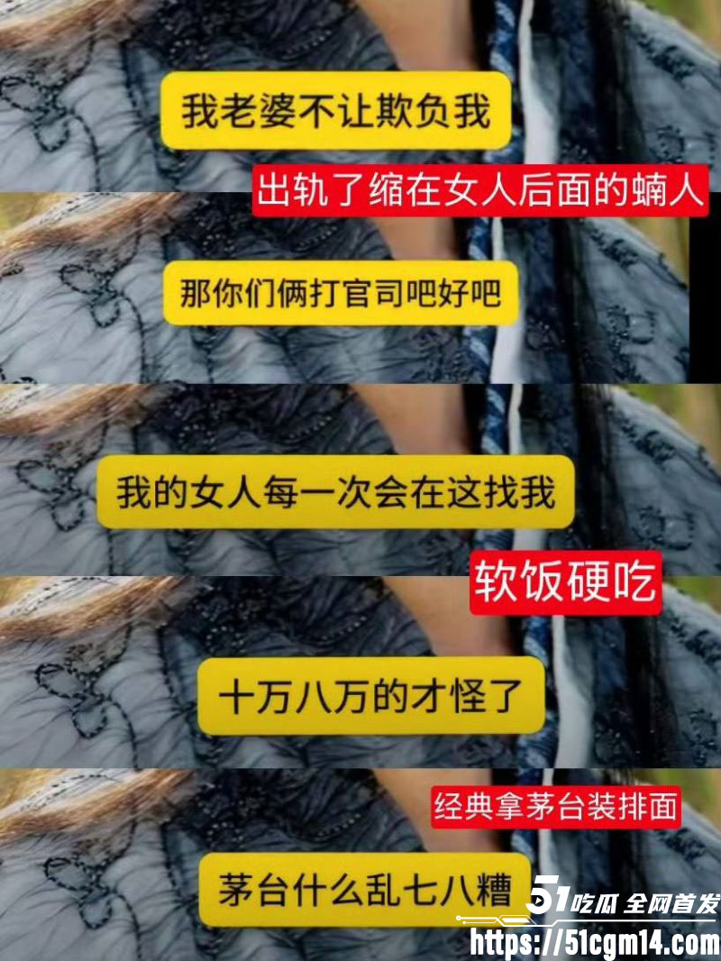 天龙八部慕容复修庆14分钟录音流出 13