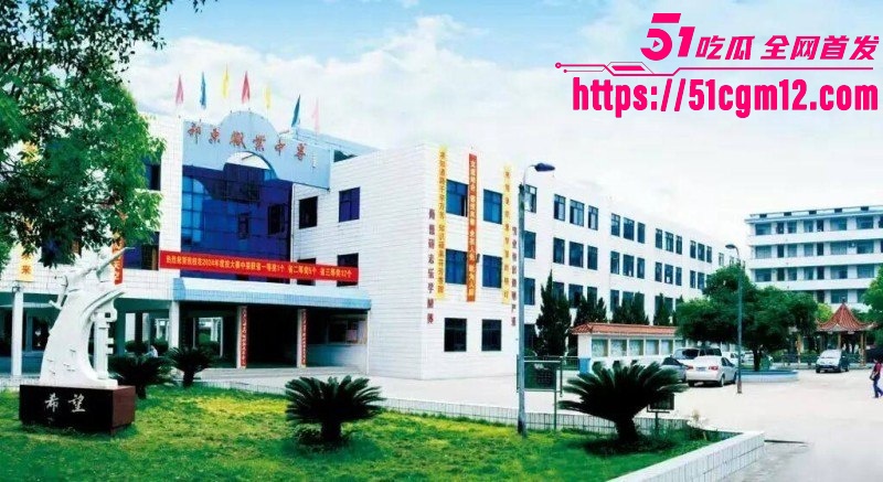 湖南祁东职校95后女老师徐西婷下海卖片026