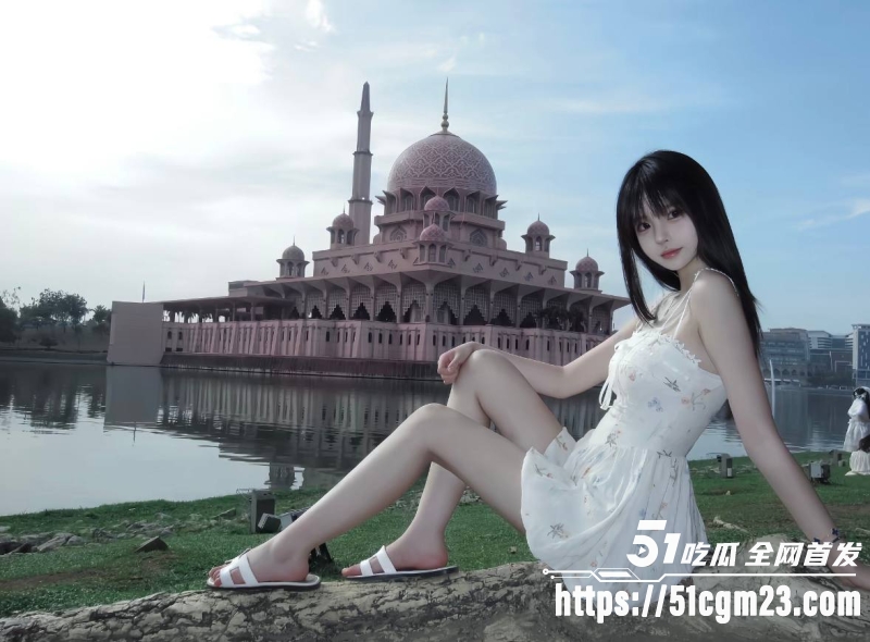 抖音网红莓猫饼6