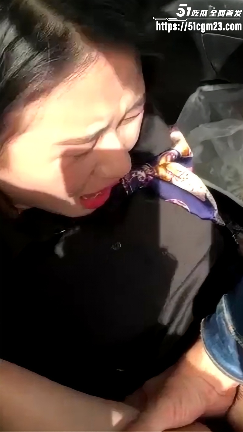 每日大赛车震大赛06