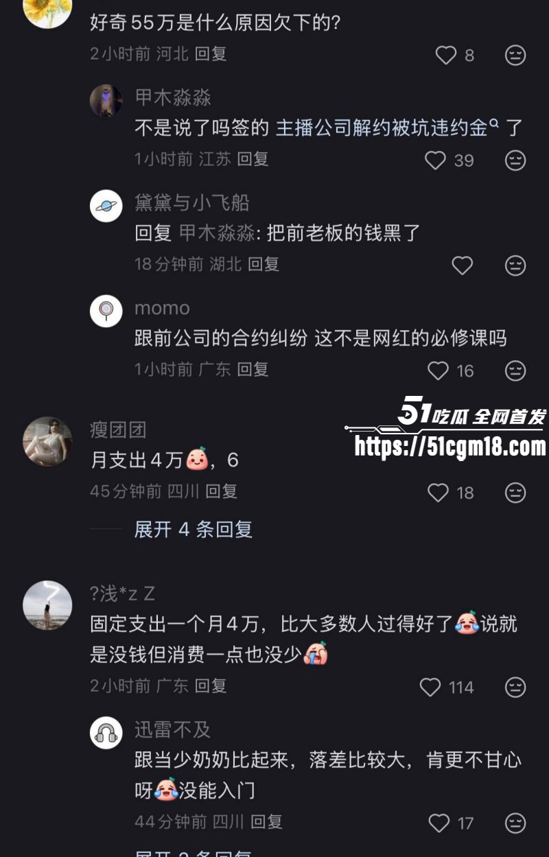 思聪前女友黄一鸣被限高消费030 思聪前女友黄一鸣被限高消费030