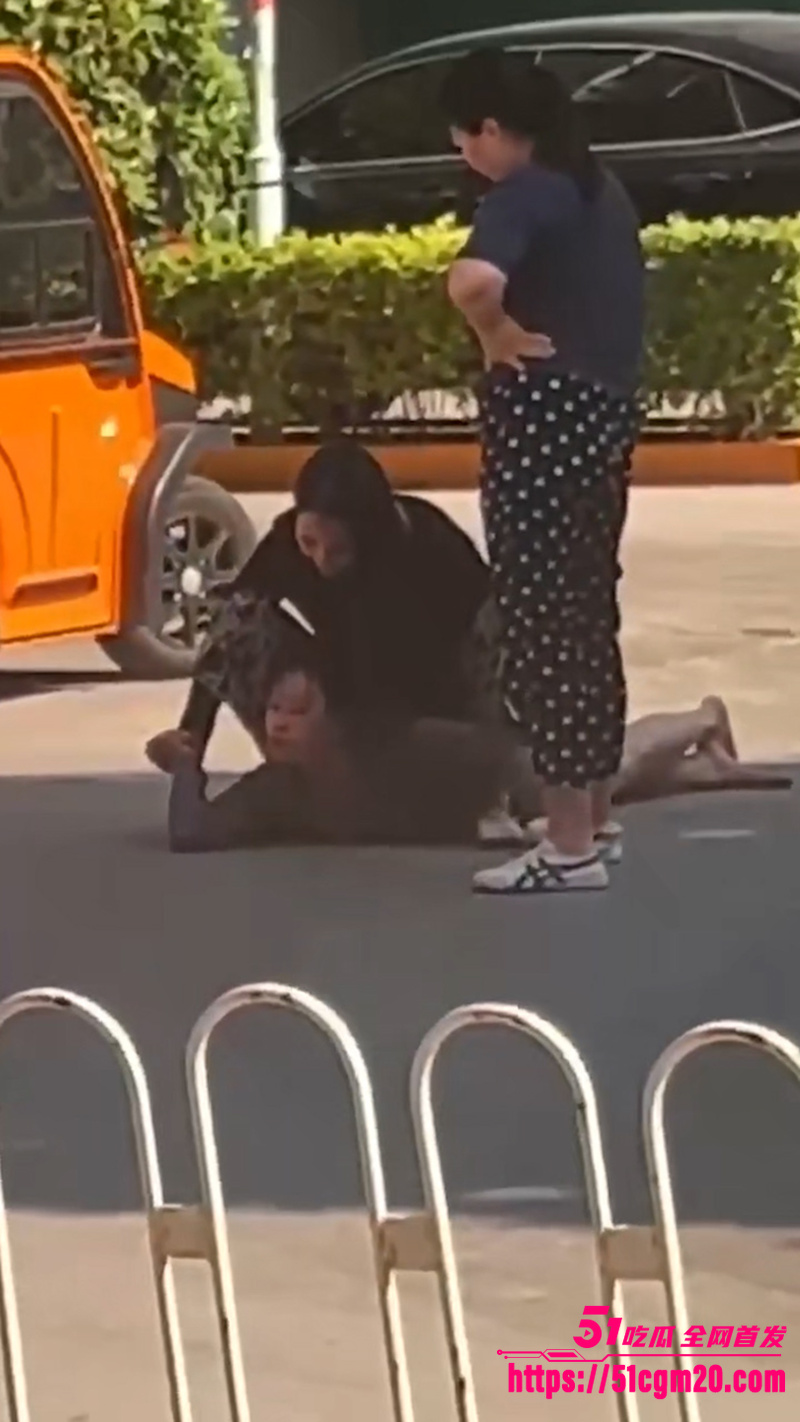 正妻马路怒揍小三 1 正妻马路怒揍小三 1