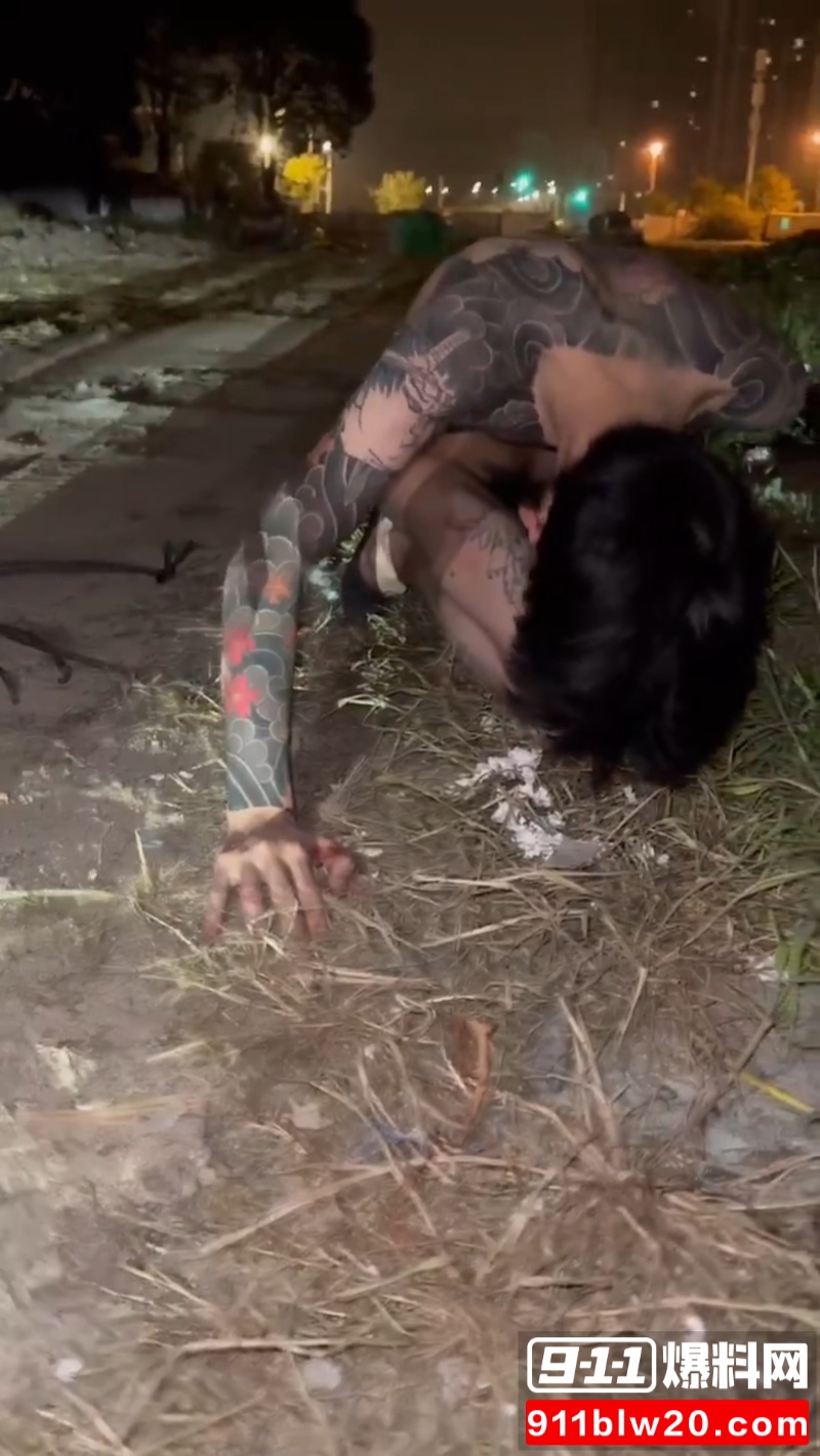 嚣张的精神小伙 3