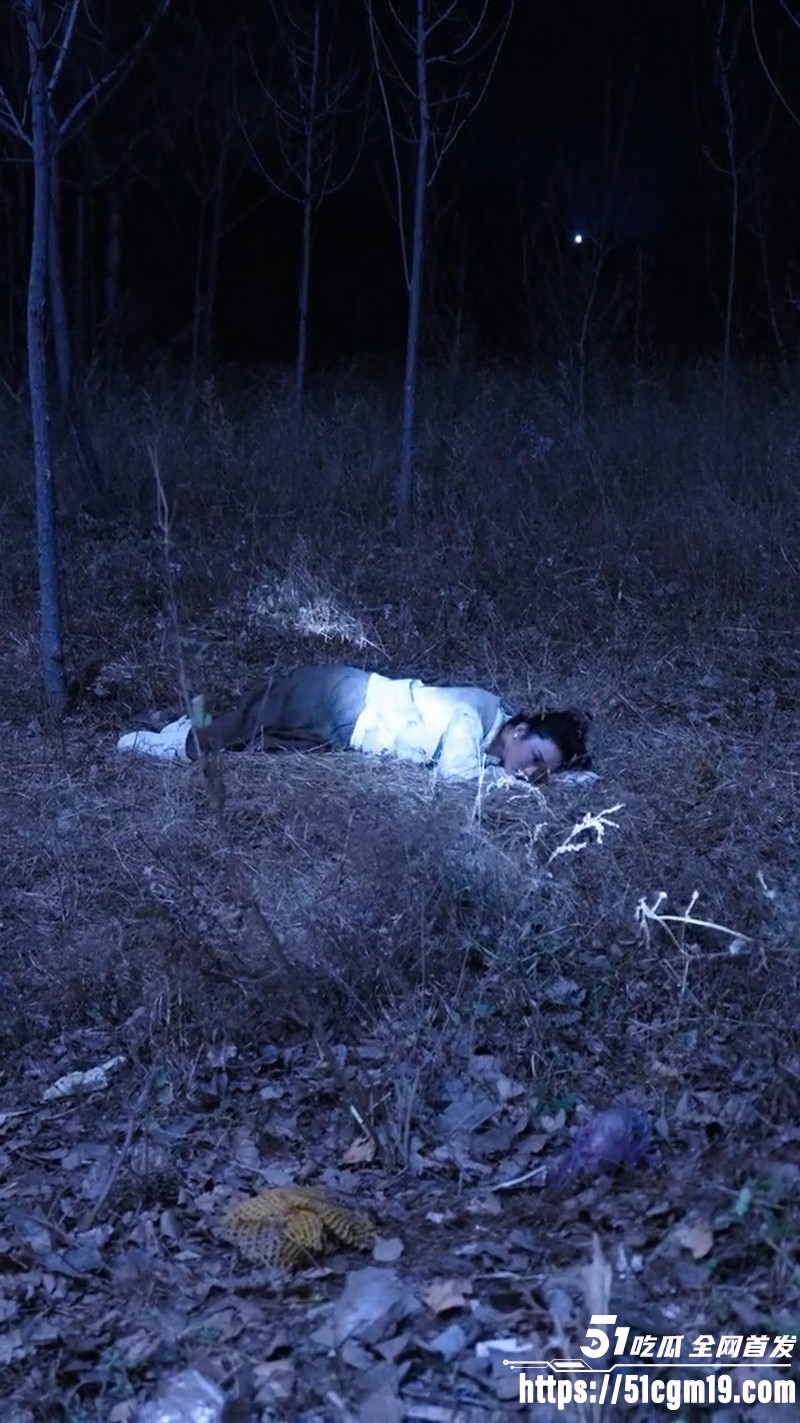 惊悚擦边短剧他的完美妻子全集 5