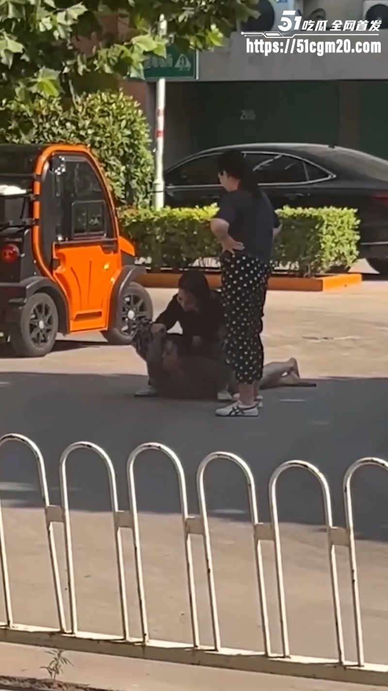 正妻马路怒揍小三 6 正妻马路怒揍小三 6