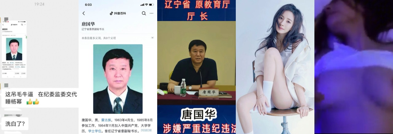 辽宁省委原副秘书长唐国华落马，纪委审讯直接爆猛料睡过杨幂，权色交易玩得飞起，癞蛤蟆真吃上天鹅肉了！ - 热门大瓜