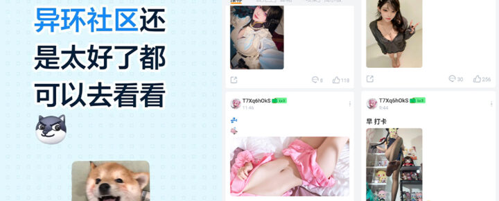 二游社区变暗网异环手游塔吉多社区遭遇色图轰炸