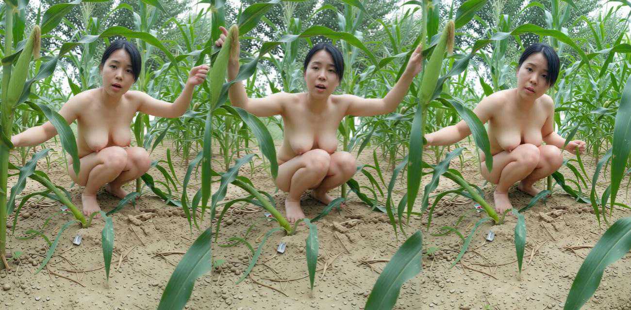 巨乳熟女少妇 户外玉米地野战 挑战高难度体位 被无套爆操到情谜意乱！