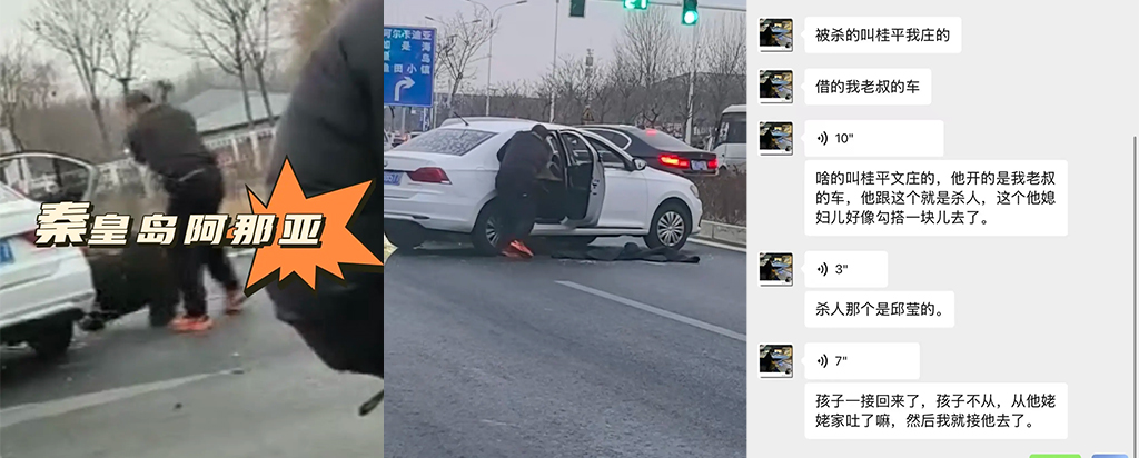 秦皇岛阿那亚突发暴力事件男子抡斧头砍伤路人