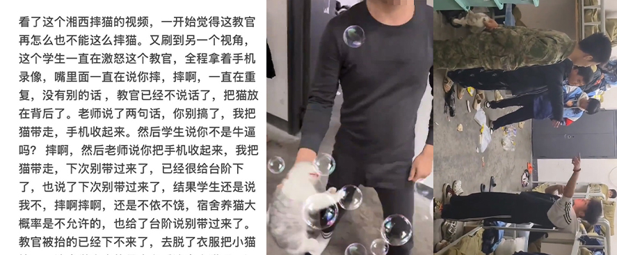 湖南湘西职业院校虐猫事件惹争议违规养宠故意激怒宿管